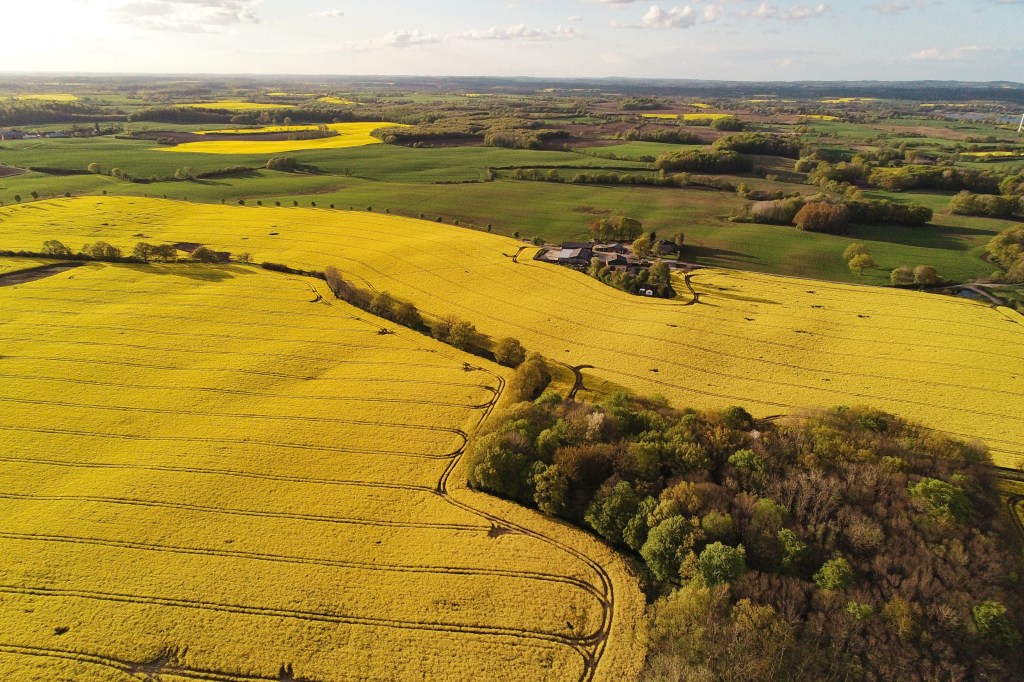 Citwell: Accelerating Transformation for Improved Performance - How Food & Ag Leaders Can Build Resilience, Margin Discipline, and Demand-Led Growth in 2026