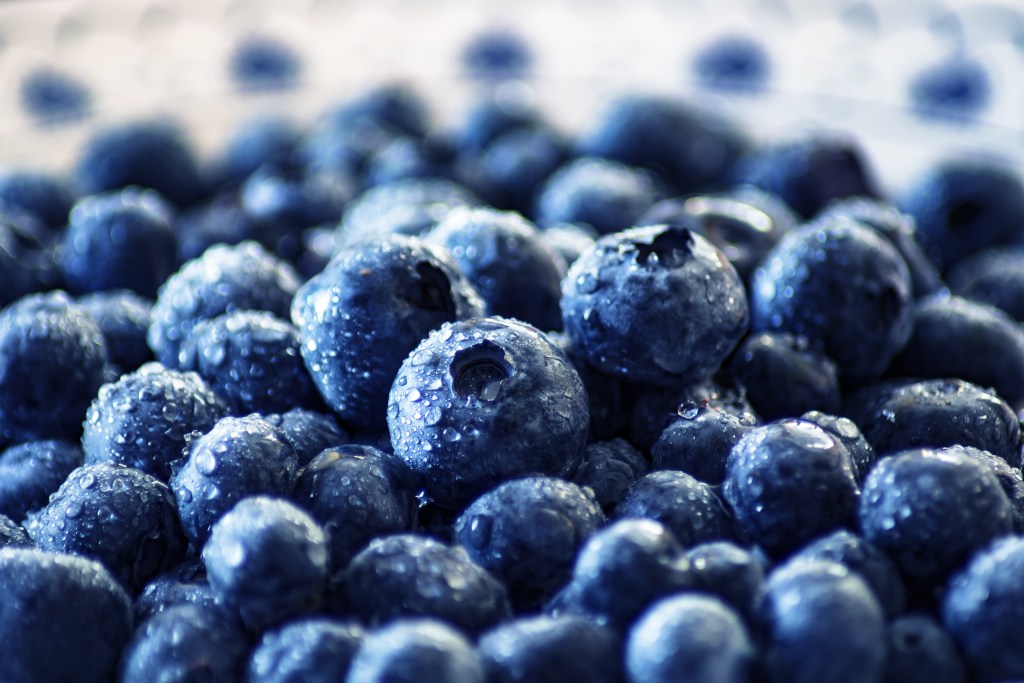 Naturipe Farms, Hortifrut Collaborate with MBO to Expand One of the World’s Most Comprehensive Berry Genetics Platforms