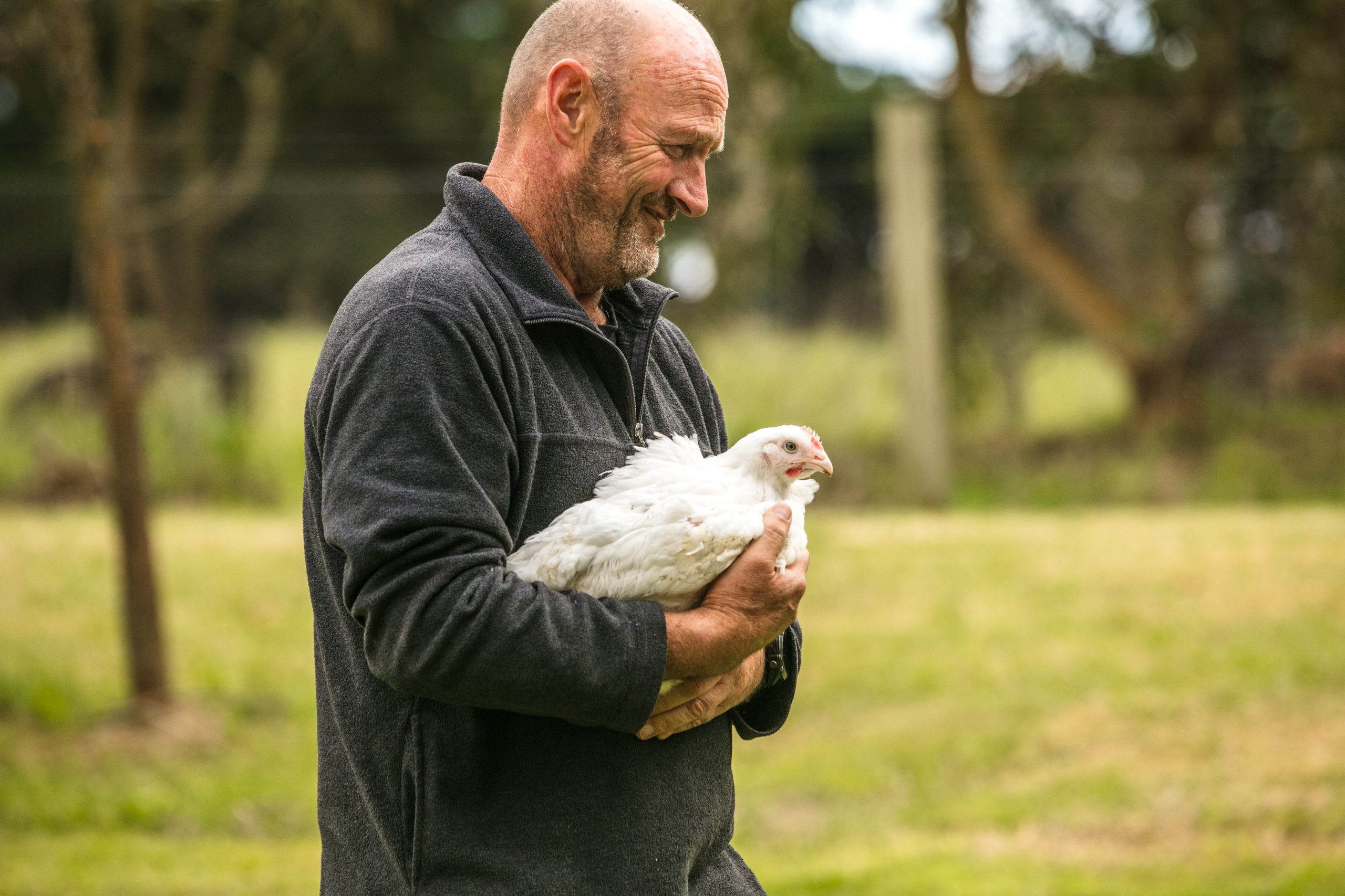 Ingham's Invests AUD50M, Partners with ProTen to Develop Two New Poultry Farms in Victoria
