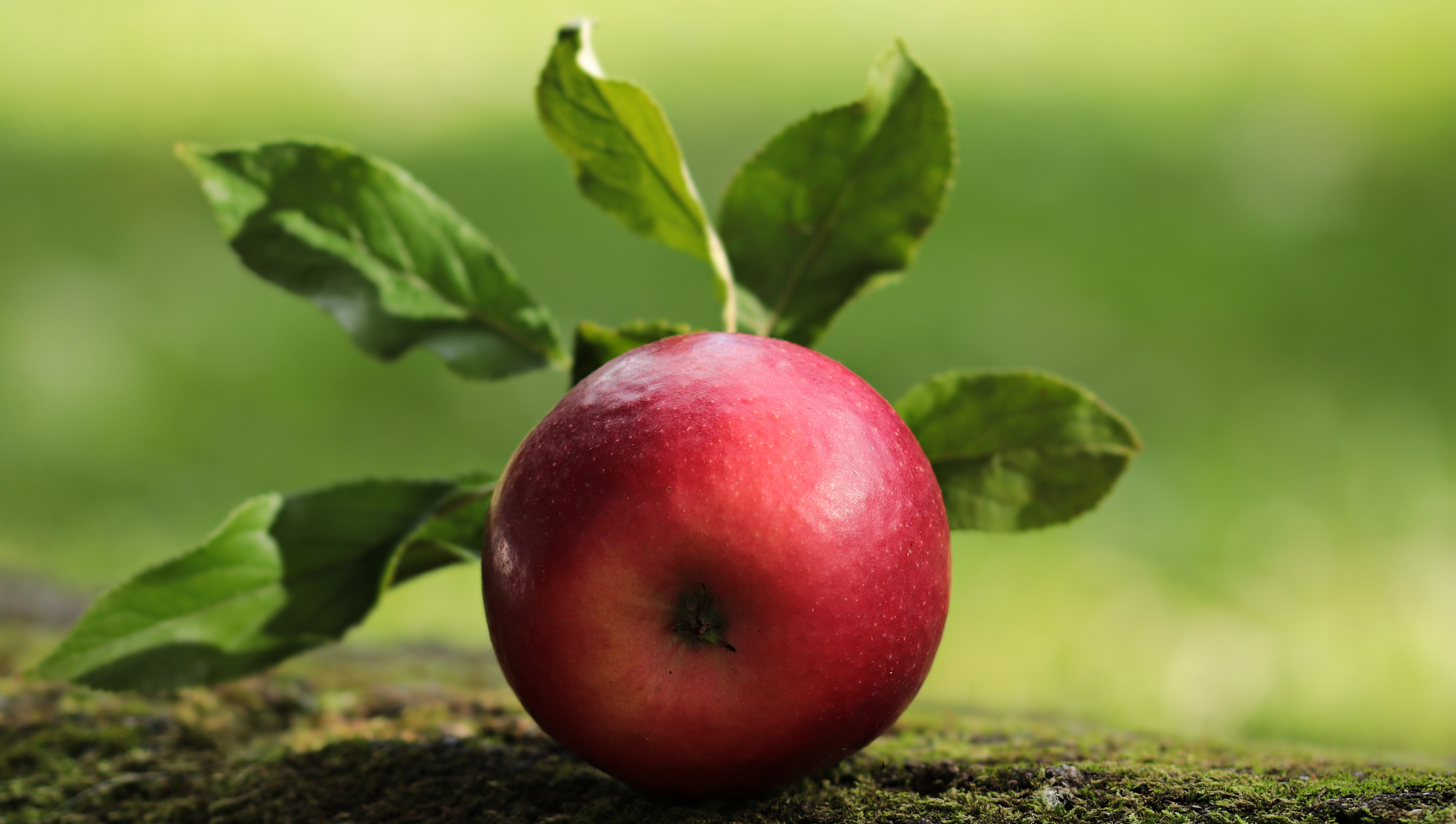 T&G Global Sells T&G Fresh Business