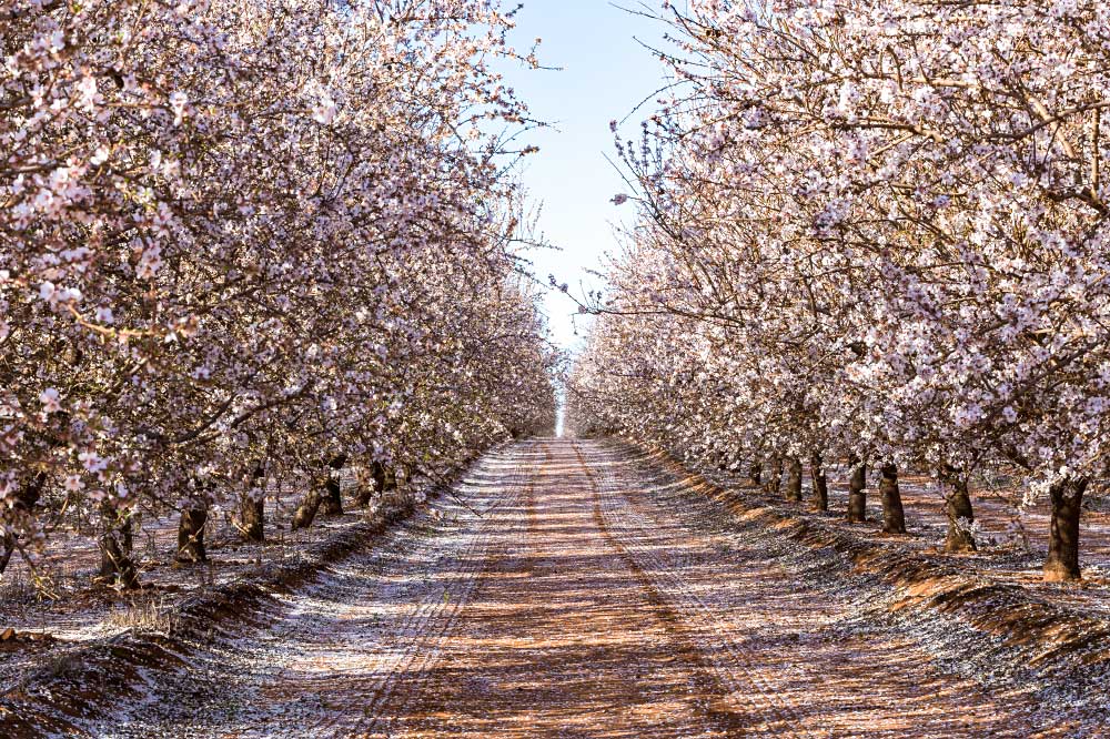 A Pioneer and a Partner: Riparian Releases Biennial 2026 Sustainability Report